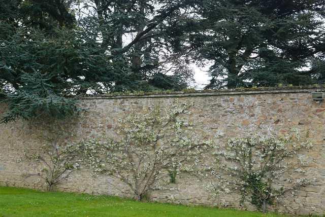 DSC 1864