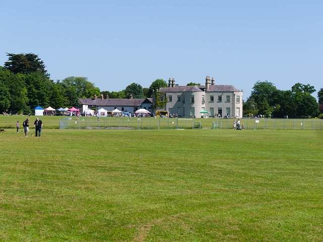 P1030977