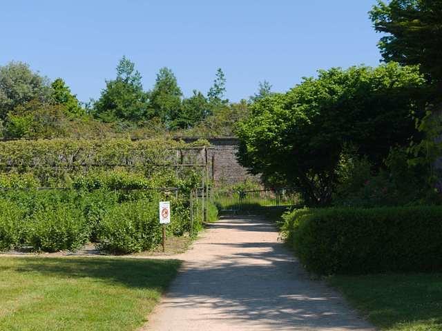 P1040003