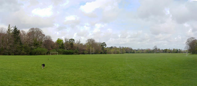 Untitled Panorama1