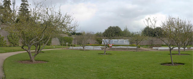 Untitled Panorama6