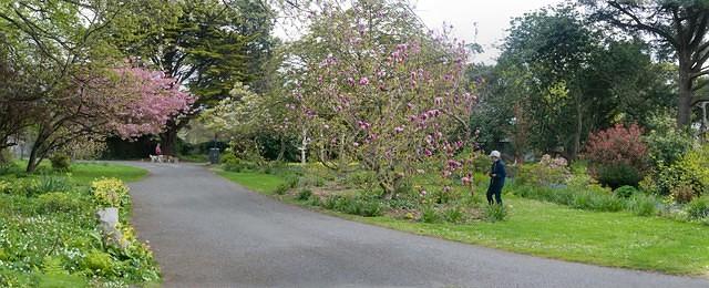 Untitled Panorama7