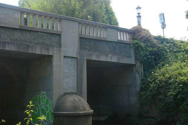 DSC 2355