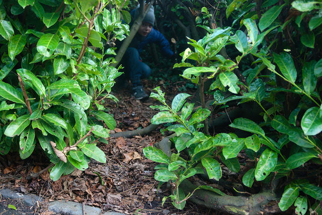DSC 0467