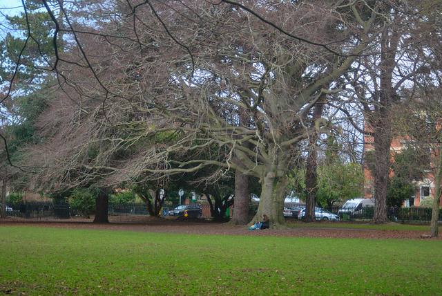DSC 0486