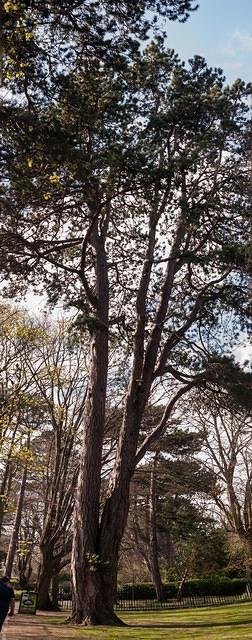 Untitled Panorama1