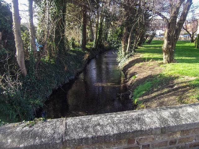 DSCF0016-2