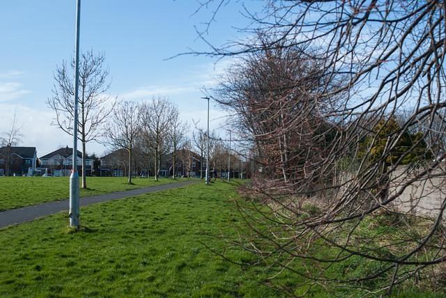 DSC 7558