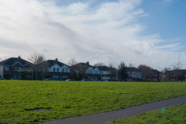 DSC 7559