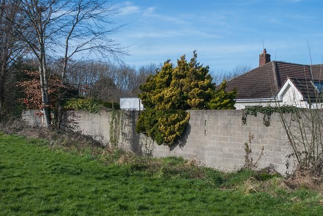 DSC 7560