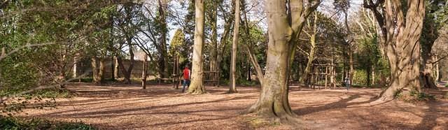 Untitled Panorama1