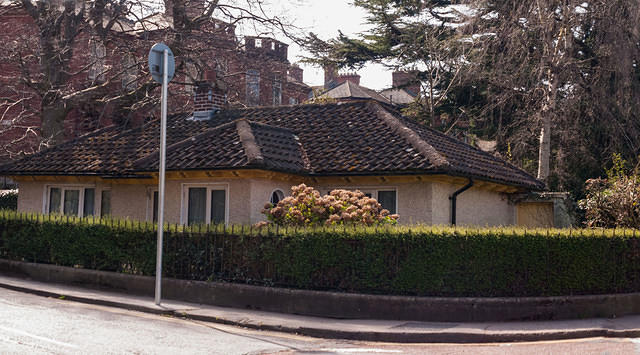 Untitled Panorama5