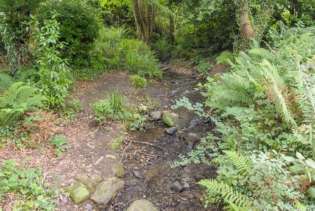 DSC 0800