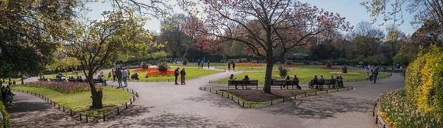 Untitled Panorama6