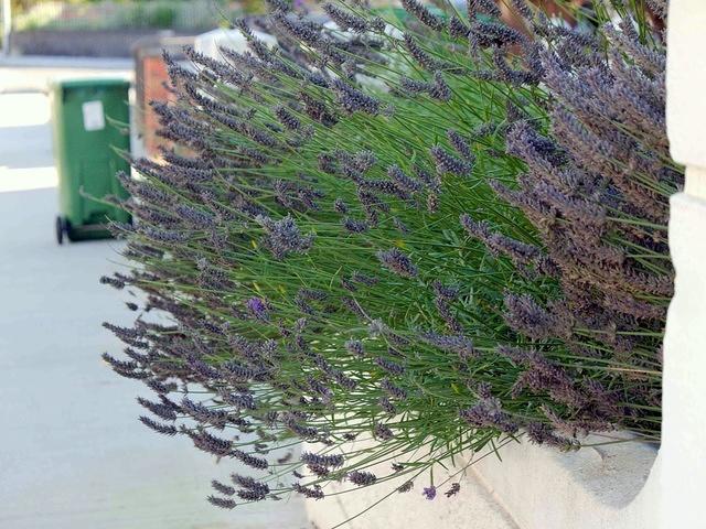 P1040569