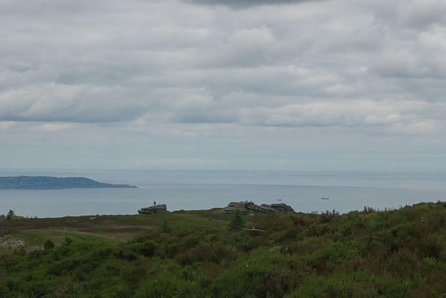 DSC 3199