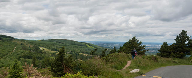 Untitled Panorama10.1