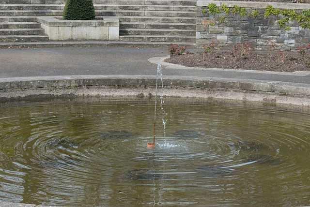 DSC 1083