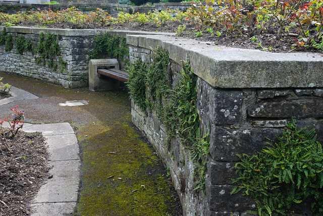 DSC 1089