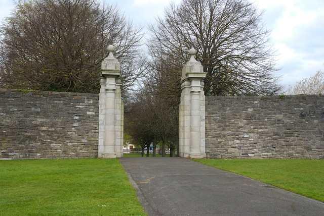 DSC 1117