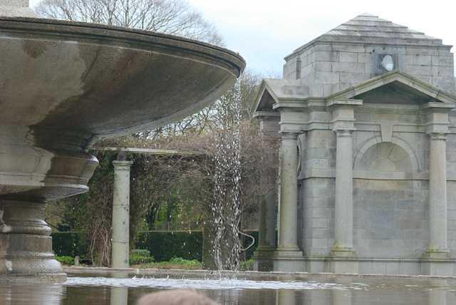 DSC 1131