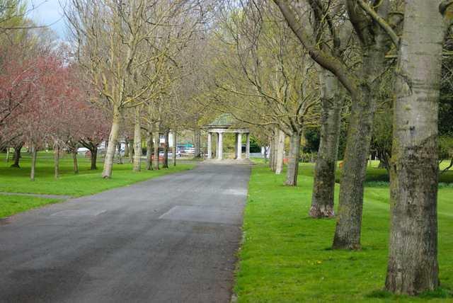 DSC 1166