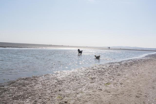 DSC 0332