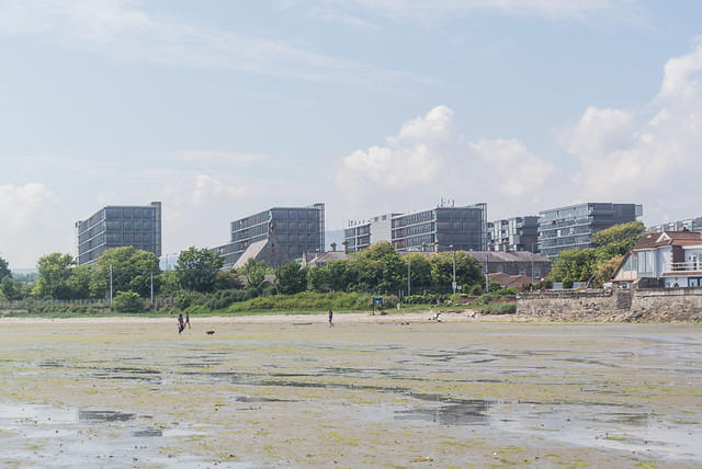 DSC 0428