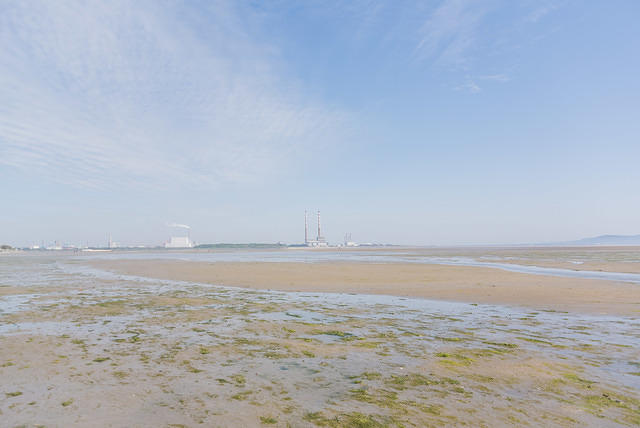 DSC 0451