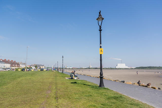 DSC 0559
