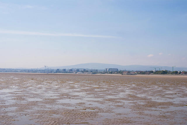 DSC 2572