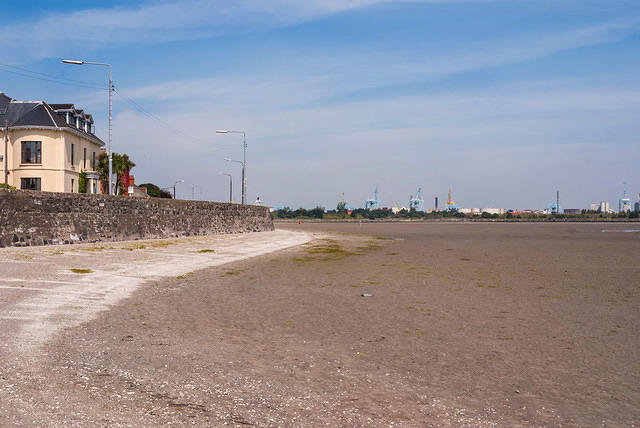 DSC 2605