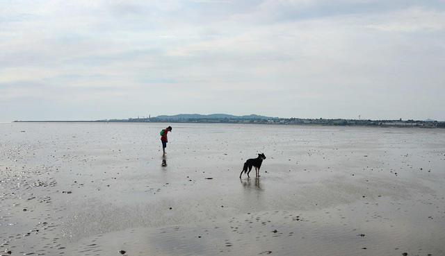 Untitled Panorama1