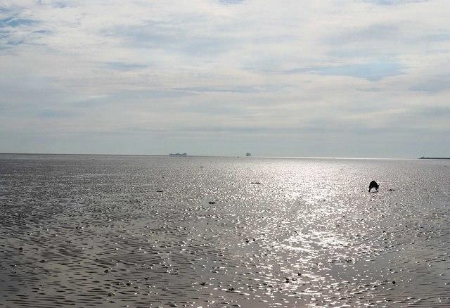 Untitled Panorama5