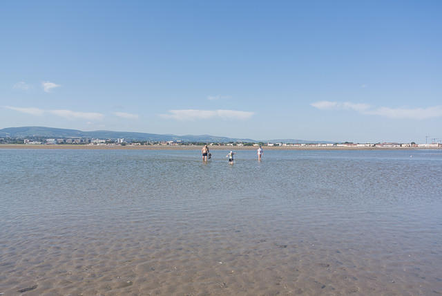 DSC 1313