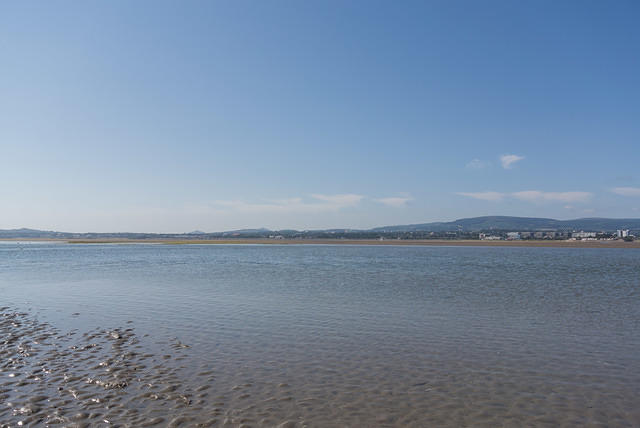 DSC 1314
