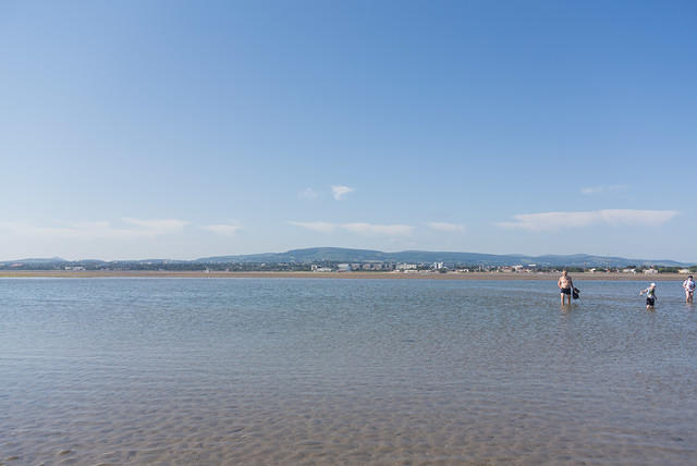 DSC 1315