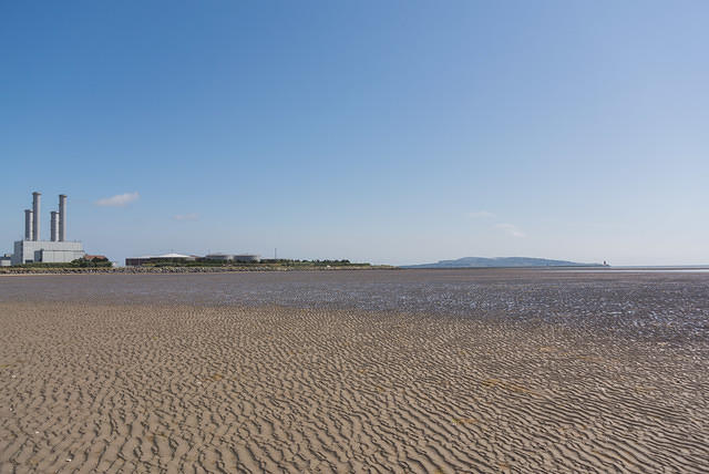 DSC 1331