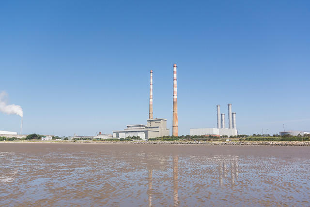 DSC 1352