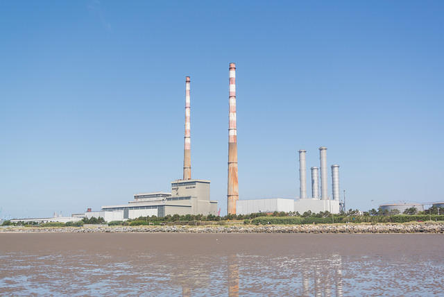 DSC 1354