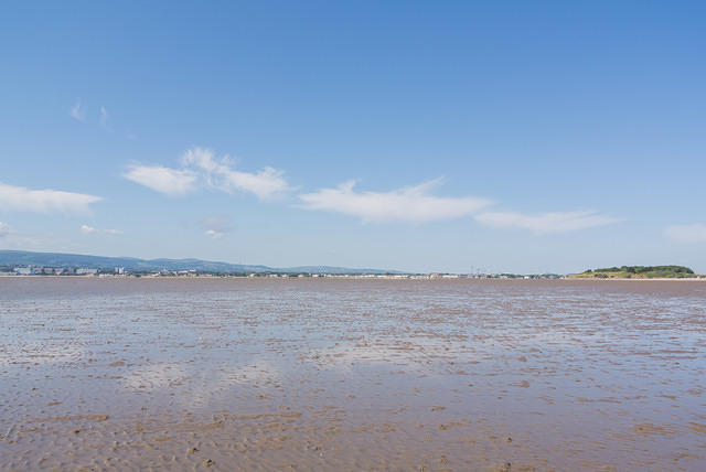 DSC 1358
