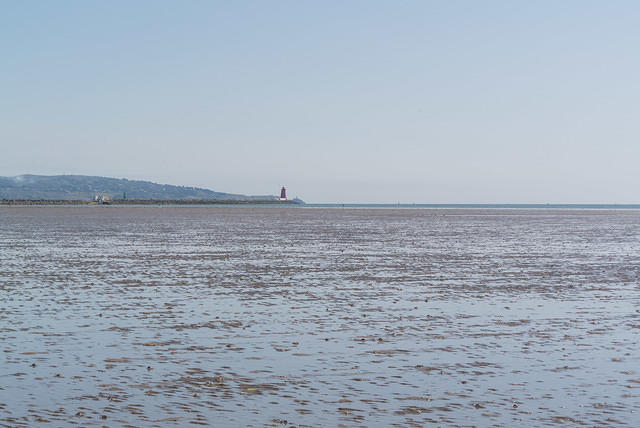 DSC 1361