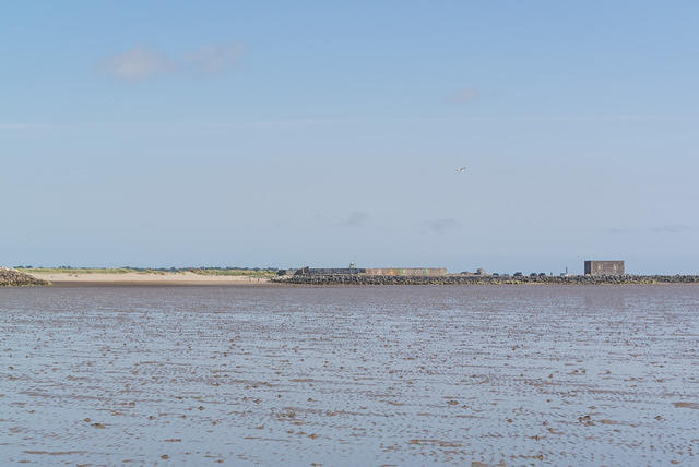 DSC 1362