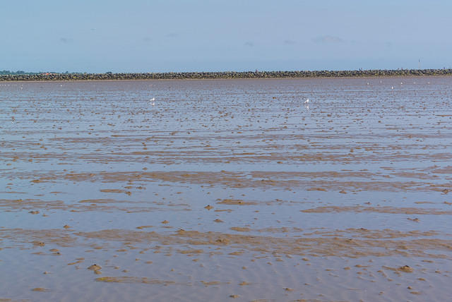 DSC 1370