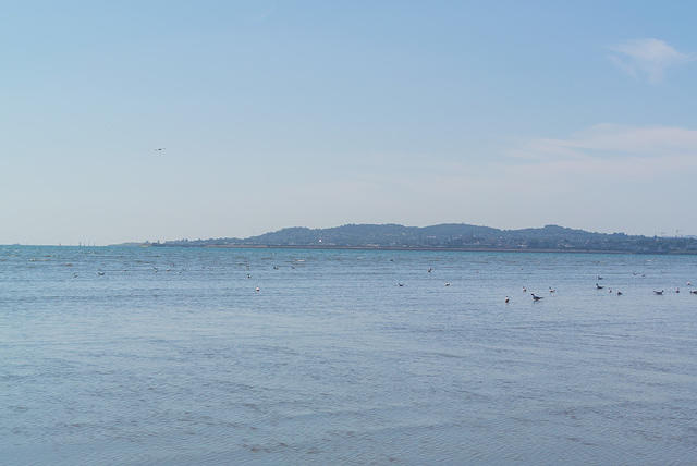 DSC 1388