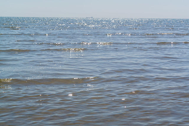 DSC 1402