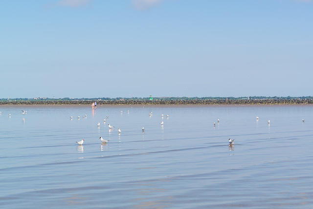 DSC 1414