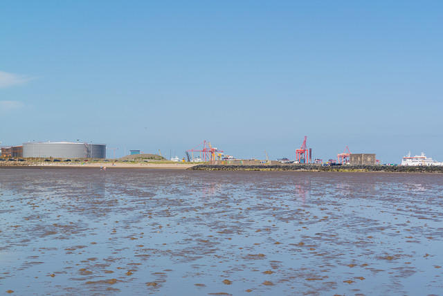 DSC 1432