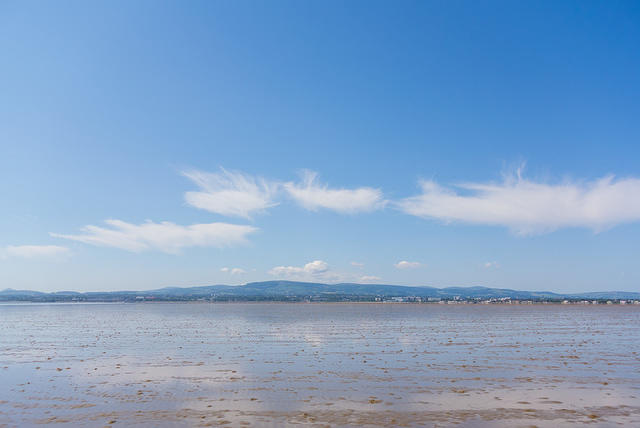 DSC 1433