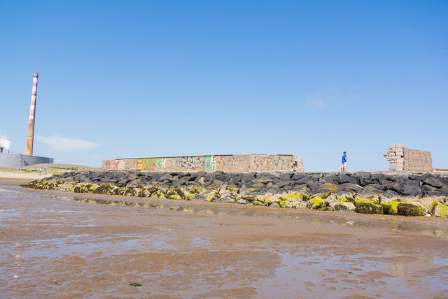 DSC 1438